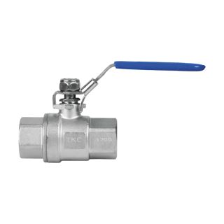 Paslanmaz Çelik Dişli SS304 2 Parçalı Küresel Vana